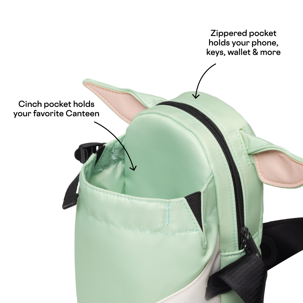disney-sling-x0 53593b3e49e2--Sling-PDP-4.png