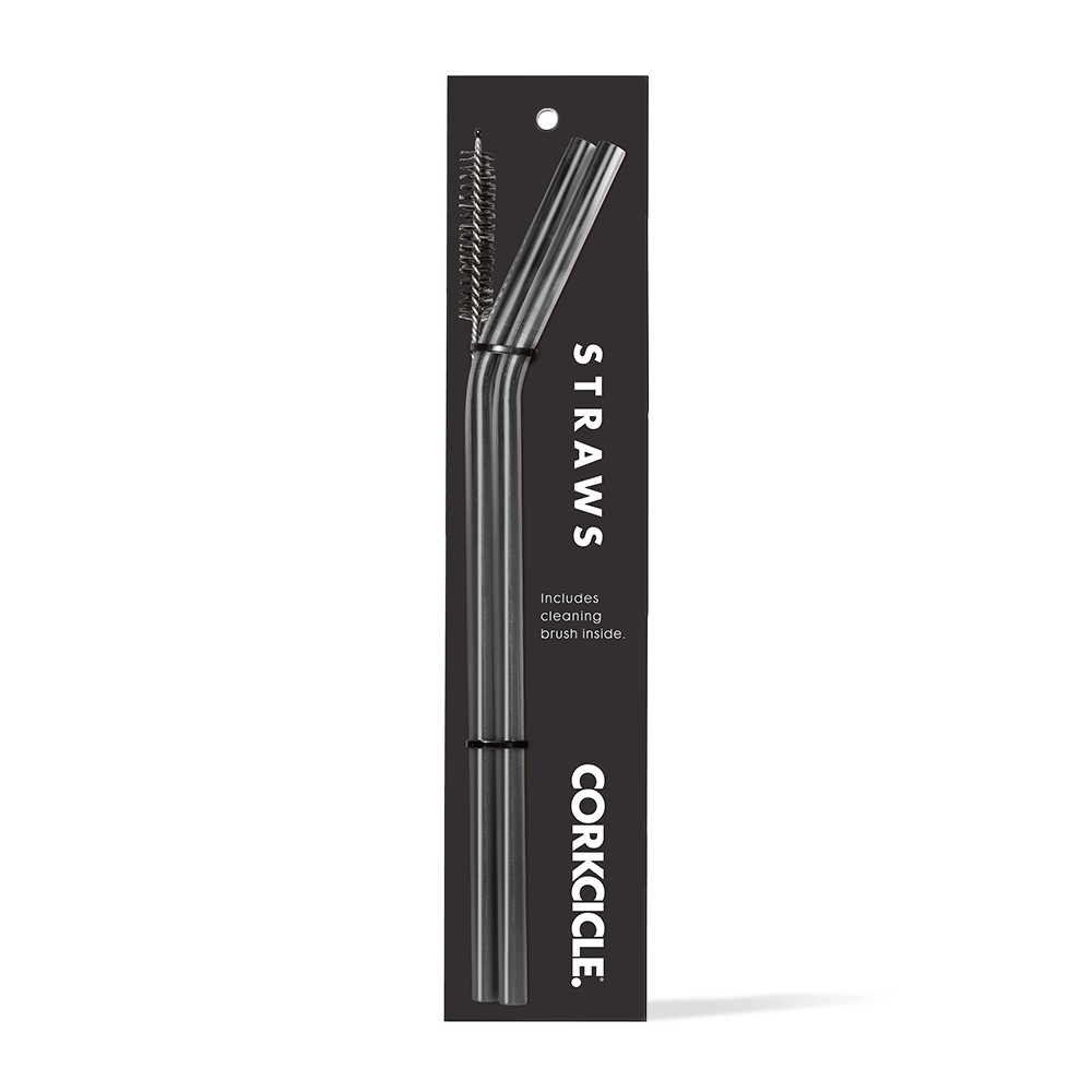 tumbler-straw-2-pack-x2 gunmetal.png